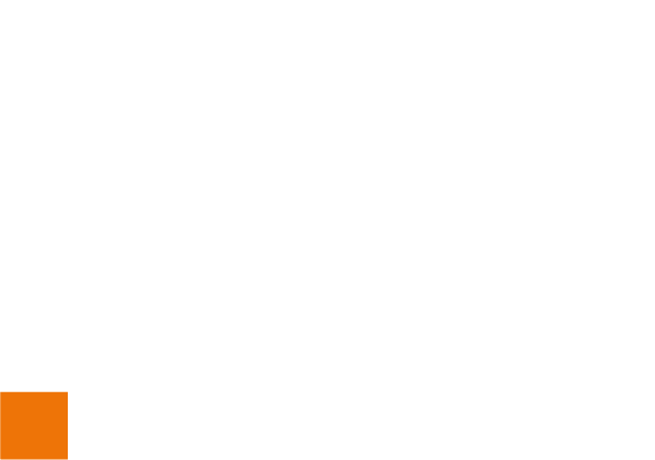 MAX BIM Solutions Logo